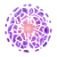 Aqademiq